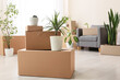 © Pixel-Shot - Moving house and relocation concept, cardboard boxes with indoor plants in a new apartment living room during home renovation or real estate transition