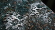 © MMCXIII - Corroded metal surface with white salt crust and oxidation texture background