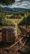© COK House - A wooden barrel filled with rope sits in a vineyard with rows of grapevines leading to hills under a cloudy sky background.