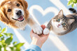 © Andrey_Lobachev - Dog and cat touch a human hand with their paws against a bright background, symbolizing trust, friendship, love and care for pets. Love and care. World Animal Day.