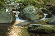 © PgP - Il fiume Dardagna in montagna con le sue cascatelle e i riflessi del bosco