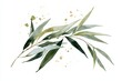 © Hello Stock - Watercolor painting of a delicate willow branch with green leaves and artistic golden paint splatters isolated on white background