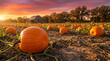© Mubarak - A vibrant pumpkin patch bathed in the warm glow of a beautiful sunset, featuring a rustic barn and distant trees.