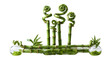 © Ahmad - A professional studio shot of a lucky bamboo stalks dracaena sanderiana curled tops water, clean PNG isolated on a solid white background