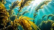 © miss irine - Sunlight beams through blue ocean water into yellow seaweed forest. Underwater kelp plants grow tall in deep sea. Bright sun rays illuminate marine algae in aquatic environment. Natural light shines