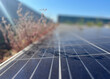 © Nataschen - Close-up view of solar panels with reflections and a background of dry vegetation under a clear blue sky, for renewable energy and sustainability content, solar power and clean technology visuals
