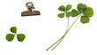 © Masum - Vintage Paper Note with Binder Clip and Green Clover Leaves Isolated on White Background