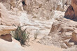 © Tarek - Photo of mountain rocks