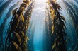 © 由紀子 大久保 - 光が差し込む海中の海藻の森、神秘的な水中風景
