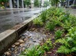© Natalia - sponge city stormwater management Urban rain garden with plants and gravel next to a city street curb