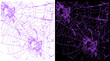 © Anamul - Purple spider web illustration set, spooky cobweb textures on black and white backgrounds, gothic halloween decorative elements for graphic design