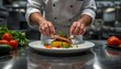 © MONE KTY - Professional chef carefully plating a freshly prepared gourmet meal in a restaurant kitchen.