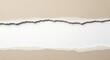 © Rony - Torn beige paper edges revealing a white center strip for copy space