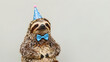 © Nopadol - Sloth's Birthday Bash: A cute sloth wearing a blue party hat and bow tie poses for a birthday celebration, looking directly at the camera with a charming expression.