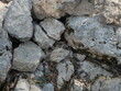 © laulli - Vue rapprochée de rochers ou pierres clairs et érodés formant un sol naturel et accidenté, avec de petites plantes et de la mousse entre les pierres.