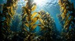 © Awan - Majestic underwater kelp forest in deep blue ocean water with bright sunbeams piercing through the sea surface.