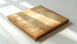 © Chandlerlikes - paper folder centered on white background, soft natural lighting
