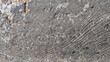 © Fitriasuryan - Rough Natural Stone Surface with Weathered Gray Rock Texture. Close-up of a rough weathered gray natural stone surface with irregular geological patterns, mineral textures, cracks, and rugged details.