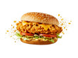© Mohammed - Crispy Chicken Burger Studio Photo for Fast Food Menu Advertising