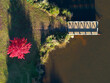 © Austockphoto - Aerial view of a bright red tree and small wooden jetty around the shoreline of a lake
