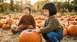 © Jon Stock - Two young children exploring a pumpkin patch together in warm autumn sunlight