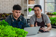 © SpaceOak - Two Asian farmers discussing work on laptop behind trays of fresh hydroponic lettuce in farm office