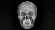 © Francesco - X ray of a human skull frontal view isolated on black background medical imaging anatomy science