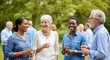 © Kentmare - Diverse Senior Friends Socializing. Group of multi-ethnic adults laughing and holding wine glasses in a sunny garden. Ideal for retirement lifestyle marketing and community event promotions.