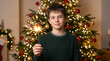 © Iryna - Smiling young boy holding sparkler in front of Christmas tree with lights, Christmas season and New Year party
