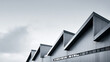 © Luminary Shots - Industrial building warehouse metal roofs with geometric triangular peaks under overcast sky