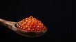 © BlackBird Studio - Spoonful of Vibrant Salmon Roe on Black Background