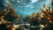 © Honey - Submerged kelp forest with orange tones, revealing sunlight filtering through clear ocean water, showcasing underwater beauty