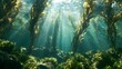 © Honey - Sunlight streams through turquoise ocean water, illuminating a kelp forest, representing a tranquil, natural underwater world
