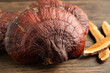 © amazing studio - Dried lingzhi mushroom with capsule drug, alternative medicine herbal organic herb.