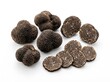 © Twt24 - Fresh Black Truffle. Tuber melanosporum. For fine dining menus, Michelin star culinary, luxury food branding, gourmet cooking ingredients, autumn and winter delicacy promotions