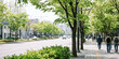 © CoreSelect - 푸른 가로수길 인도를 걷는 사람들 · Pedestrians Walking Along a Green Tree-Lined Sidewalk