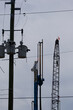 © Del Harper - Utility transformers, power lines and tall construction drill cranes rise against a gray overcast sky in St. Petersburg, FL conveying industrial infrastructure, urban construction activity and a moody