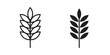© ramsey - Wheat grain icon flat outline in black