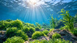 © Maksym Tereshchenko - Golden underwater light rays cascade from the surface into a crystal blue ocean, highlighting dense patches of fresh green seaweed and graceful aquatic plants moving with gentle currents, sparkling