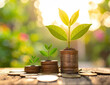 © Pixel Alchemist - Green plant seedling growing from stacked coin, symbolizing financial growth, sustainable investment, savings, wealth planning, and hopeful economic progress in warm natural light