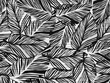 © jemi - Abstract black and white sketch of a tropical forest scene