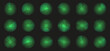 © top dog - Green radar screen collection with glowing circular signals and rotating scanning sectors