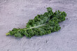 © Andrei Starostin - Fresh curly kale leaf on grey textured stone surface with ruffled green edges and pale stem, healthy raw vegetable and clean eating concept
