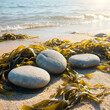 © Pixel-Shot - Mindfulness and zen balance, smooth river stones on sandy beach with seaweed and ocean waves for meditation and wellness in natural light