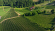 © Seleznov_Molchanova - Aerial view of scenic green rolling hills and vineyards in Southern Carinthia near Slovenian border. Small traditional farmhouses sit among agricultural fields in summer sunshine.