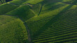 © Seleznov_Molchanova - Aerial view of scenic green rolling hills and vineyards in Southern Carinthia near Slovenian border. Small traditional farmhouses sit among agricultural fields in summer sunshine.