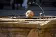 © Izanbar photos - Shakespeare Castle Skull Decoration on Stone Fountain with Water Arc to be or not to be