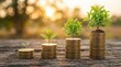 © Rafiqul - Small plants growing on stacks of coins of increasing height, symbolizing financial growth, investment, and longterm wealth accumulation