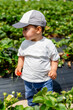 © Metadancer - Toddler white boy holding strawberry in strawberry field outdoors
