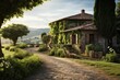 © nsit0108 - Charming stone villa covered with ivy and cypress trees on a cobbled road, surrounded by rolling green hills in the italian countryside, depicting rural lifestyle and tranquility